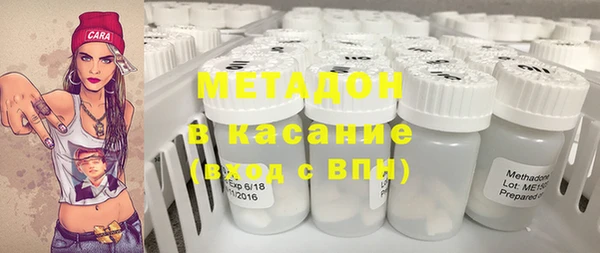 индика Арсеньев