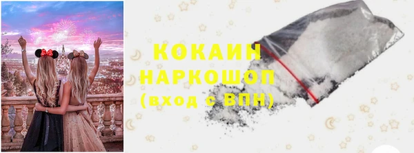 индика Арсеньев