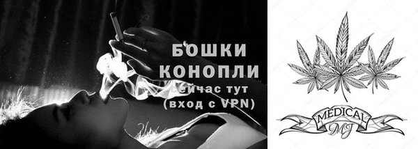 шишки Армянск