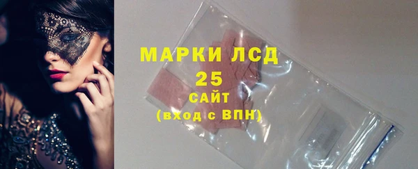 индика Арсеньев