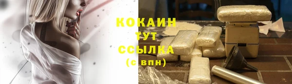 индика Арсеньев