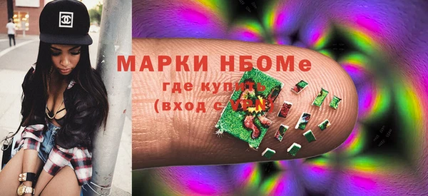 индика Арсеньев