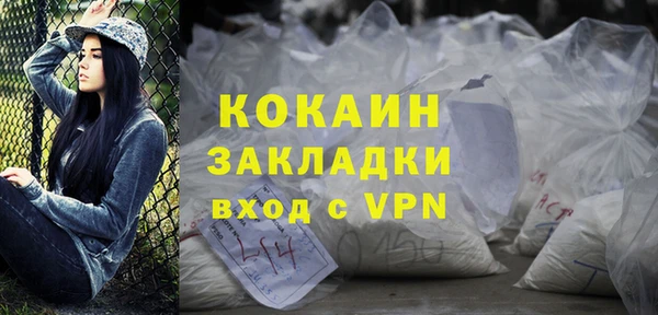 шишки Мегион