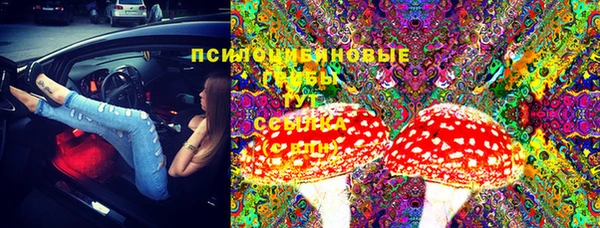 индика Арсеньев