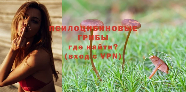 шишки Армянск