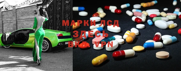 индика Арсеньев