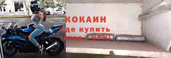 шишки Армянск